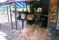 Coir Making